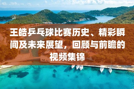 王皓乒乓球比赛历史、精彩瞬间及未来展望，回顾与前瞻的视频集锦