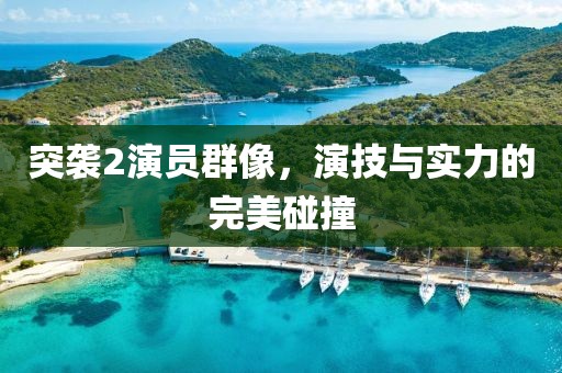 突袭2演员群像，演技与实力的完美碰撞