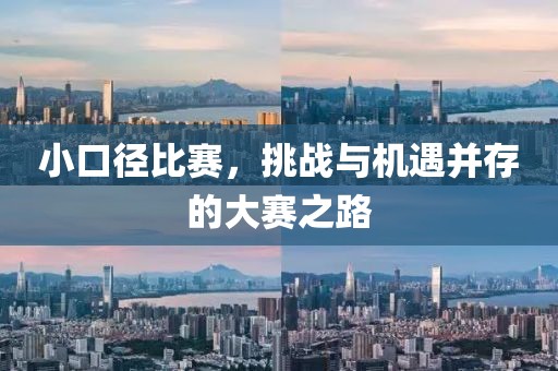 小口径比赛，挑战与机遇并存的大赛之路