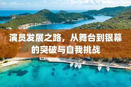 演员发展之路，从舞台到银幕的突破与自我挑战