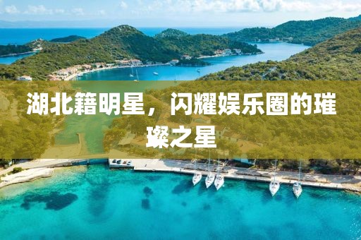 湖北籍明星，闪耀娱乐圈的璀璨之星