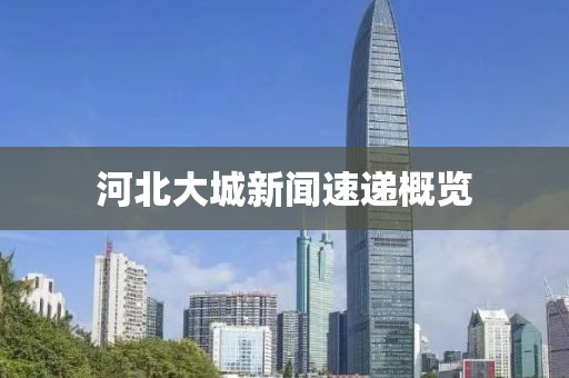 河北大城新闻速递概览
