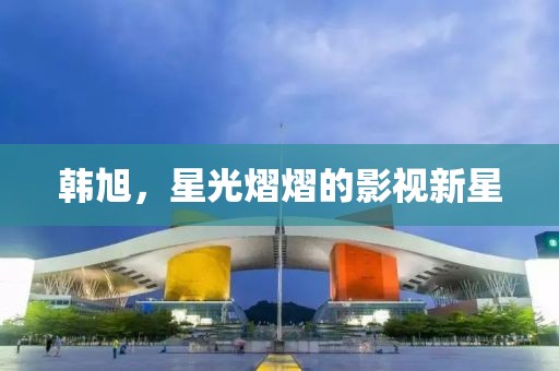 韩旭，星光熠熠的影视新星