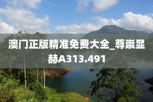 澳门正版精准免费大全_尊崇显赫A313.491