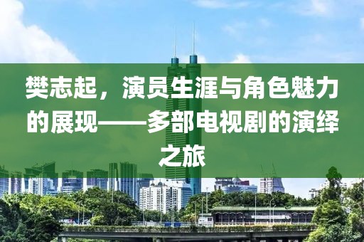 樊志起，演员生涯与角色魅力的展现——多部电视剧的演绎之旅