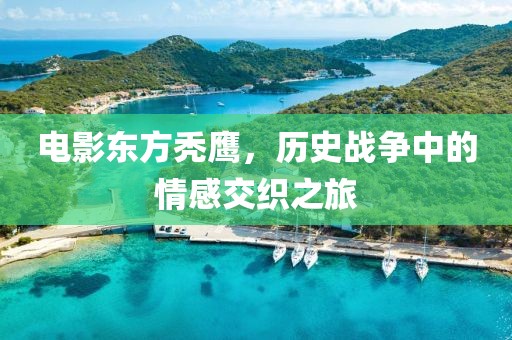电影东方秃鹰，历史战争中的情感交织之旅
