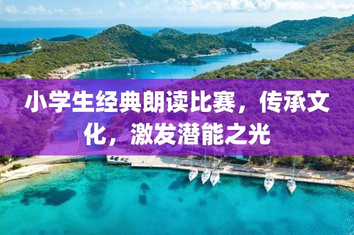 小学生经典朗读比赛，传承文化，激发潜能之光