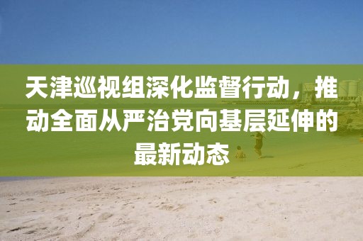 天津巡视组深化监督行动，推动全面从严治党向基层延伸的最新动态
