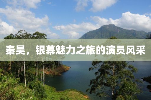 秦昊，银幕魅力之旅的演员风采