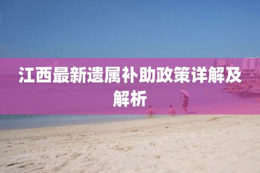 江西最新遗属补助政策详解及解析
