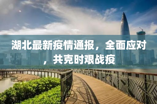 湖北最新疫情通报，全面应对，共克时艰战疫