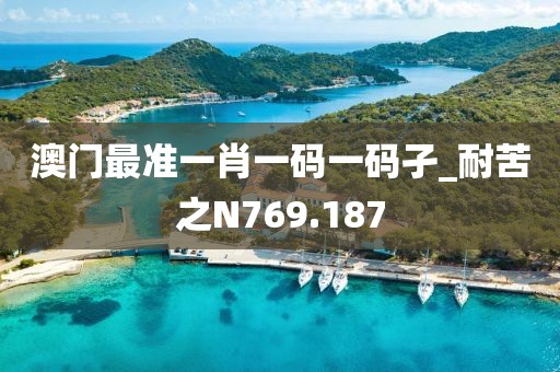 澳门最准一肖一码一码孑_耐苦之N769.187