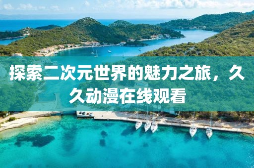 探索二次元世界的魅力之旅，久久动漫在线观看