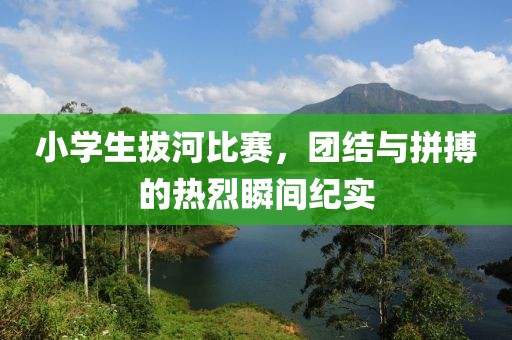小学生拔河比赛，团结与拼搏的热烈瞬间纪实