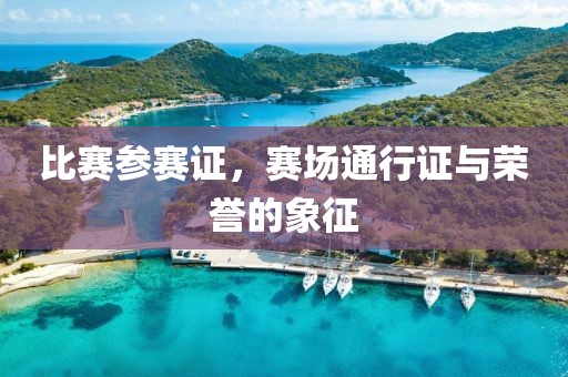 比赛参赛证，赛场通行证与荣誉的象征