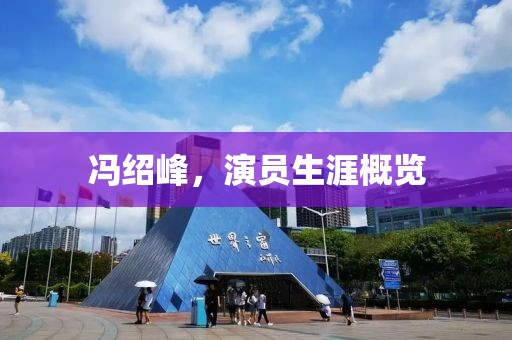 冯绍峰，演员生涯概览
