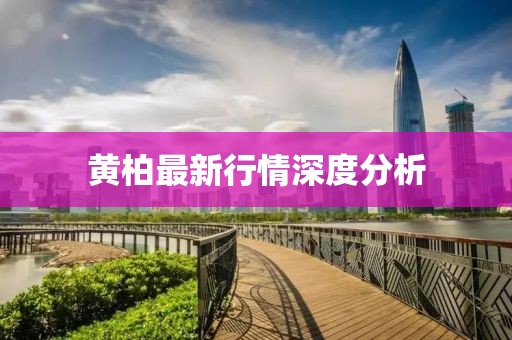 其实 第5页