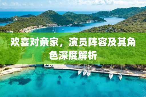 欢喜对亲家，演员阵容及其角色深度解析