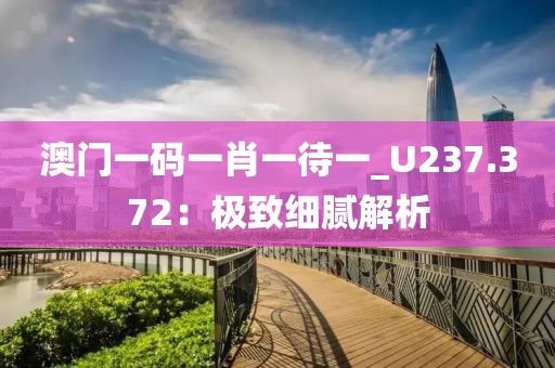 澳门一码一肖一待一_U237.372：极致细腻解析