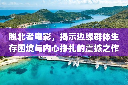 脱北者电影，揭示边缘群体生存困境与内心挣扎的震撼之作