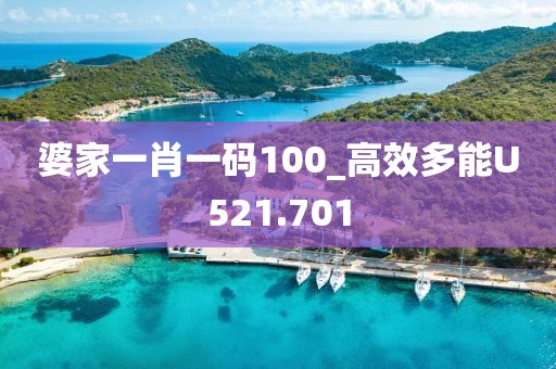 婆家一肖一码100_高效多能U521.701