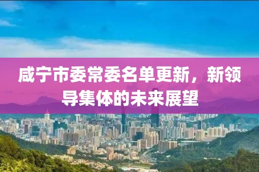 咸宁市委常委名单更新，新领导集体的未来展望