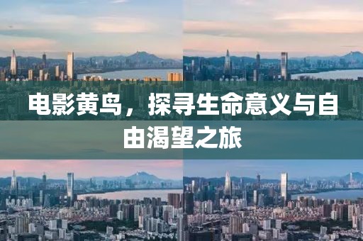 电影黄鸟，探寻生命意义与自由渴望之旅