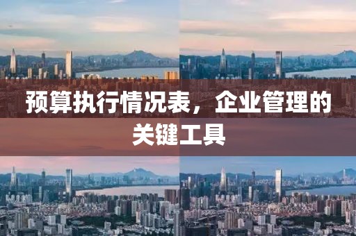 预算执行情况表，企业管理的关键工具