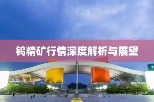 钨精矿行情深度解析与展望