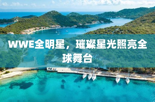 WWE全明星，璀璨星光照亮全球舞台