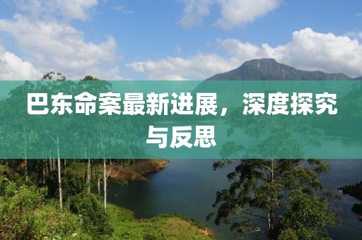 巴东命案最新进展，深度探究与反思