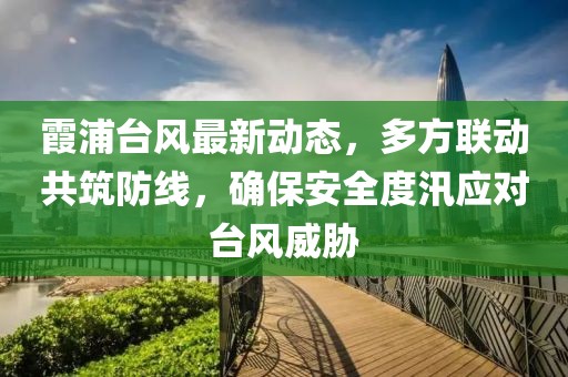 霞浦台风最新动态，多方联动共筑防线，确保安全度汛应对台风威胁