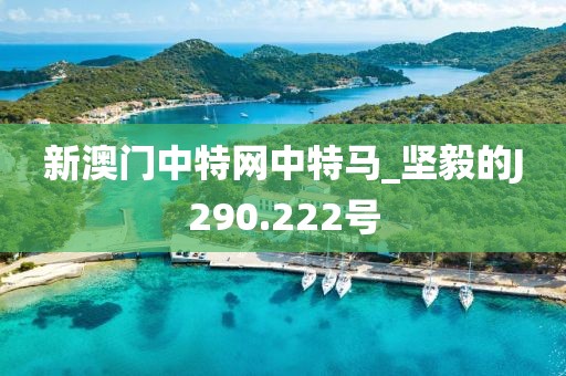 新澳门中特网中特马_坚毅的J290.222号