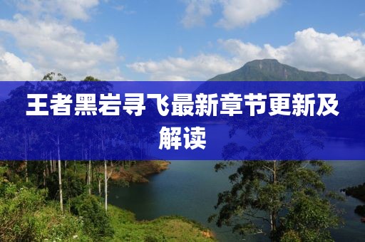 王者黑岩寻飞最新章节更新及解读
