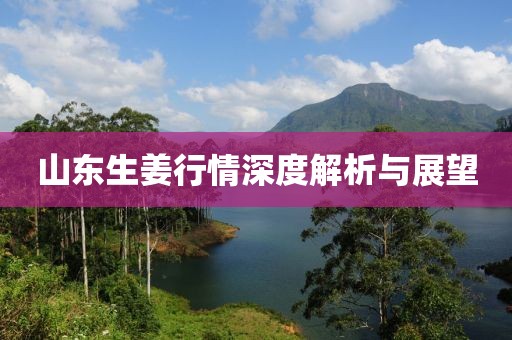 山东生姜行情深度解析与展望