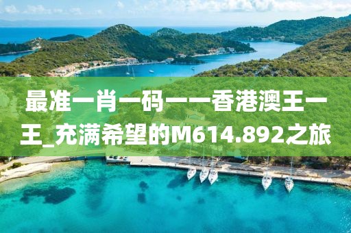最准一肖一码一一香港澳王一王_充满希望的M614.892之旅
