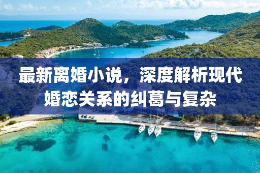 最新离婚小说，深度解析现代婚恋关系的纠葛与复杂