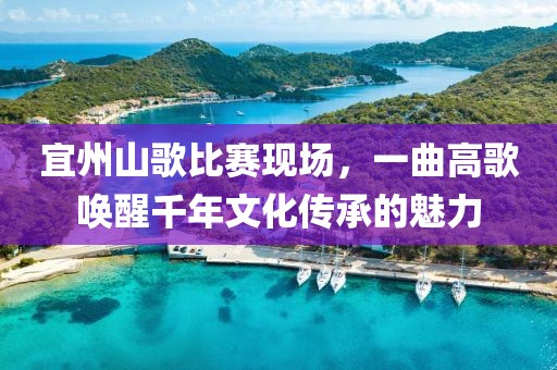 宜州山歌比赛现场，一曲高歌唤醒千年文化传承的魅力