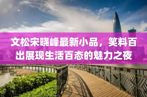 文松宋晓峰最新小品，笑料百出展现生活百态的魅力之夜