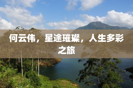 何云伟，星途璀璨，人生多彩之旅