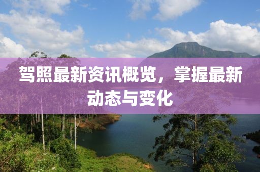 驾照最新资讯概览，掌握最新动态与变化