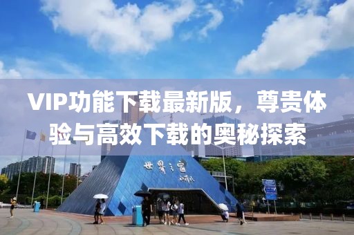 VIP功能下载最新版，尊贵体验与高效下载的奥秘探索