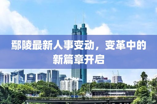 鄢陵最新人事变动，变革中的新篇章开启