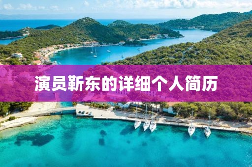 演员靳东的详细个人简历