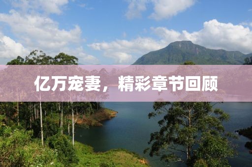 亿万宠妻，精彩章节回顾