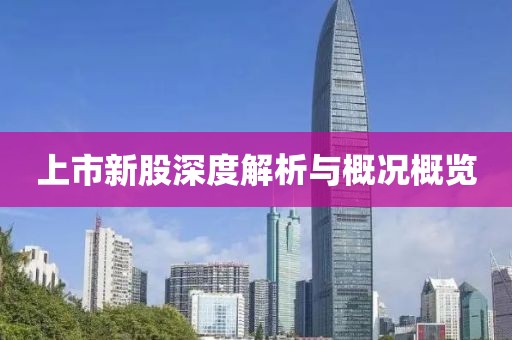 上市新股深度解析与概况概览