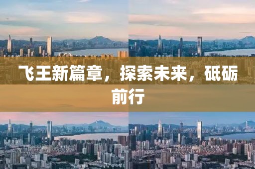 飞王新篇章，探索未来，砥砺前行