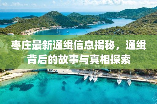 枣庄最新通缉信息揭秘，通缉背后的故事与真相探索