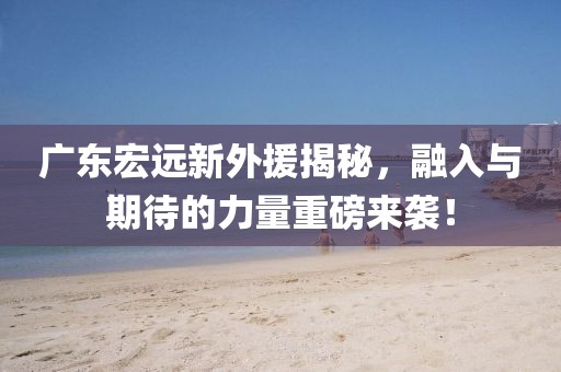 广东宏远新外援揭秘，融入与期待的力量重磅来袭！