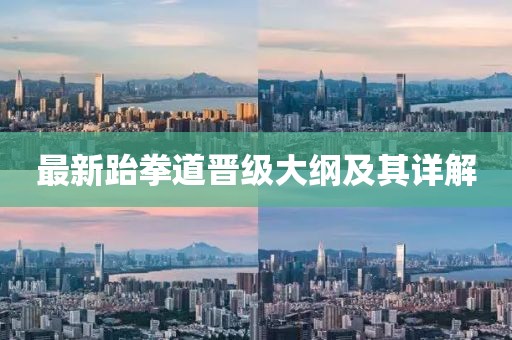 最新跆拳道晋级大纲及其详解